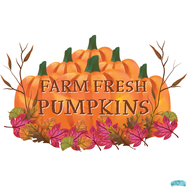 Farm Fresh Pumpkins
