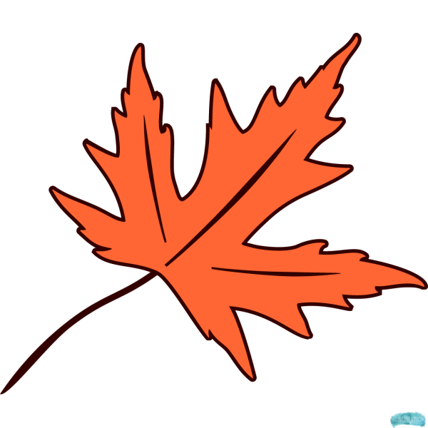 Free Autumn/Fall Leaves Design Set 1 Sublimation PNG